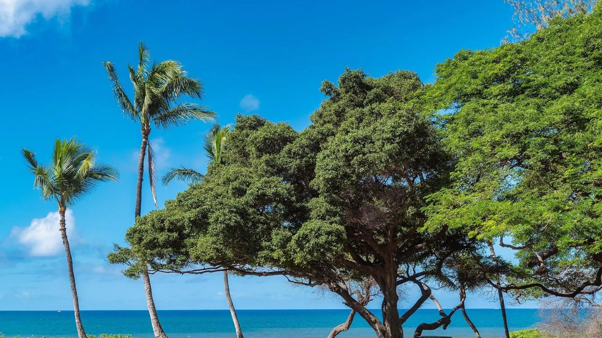 Дом отдыха Haleakala Shores A-301 Уэйлея