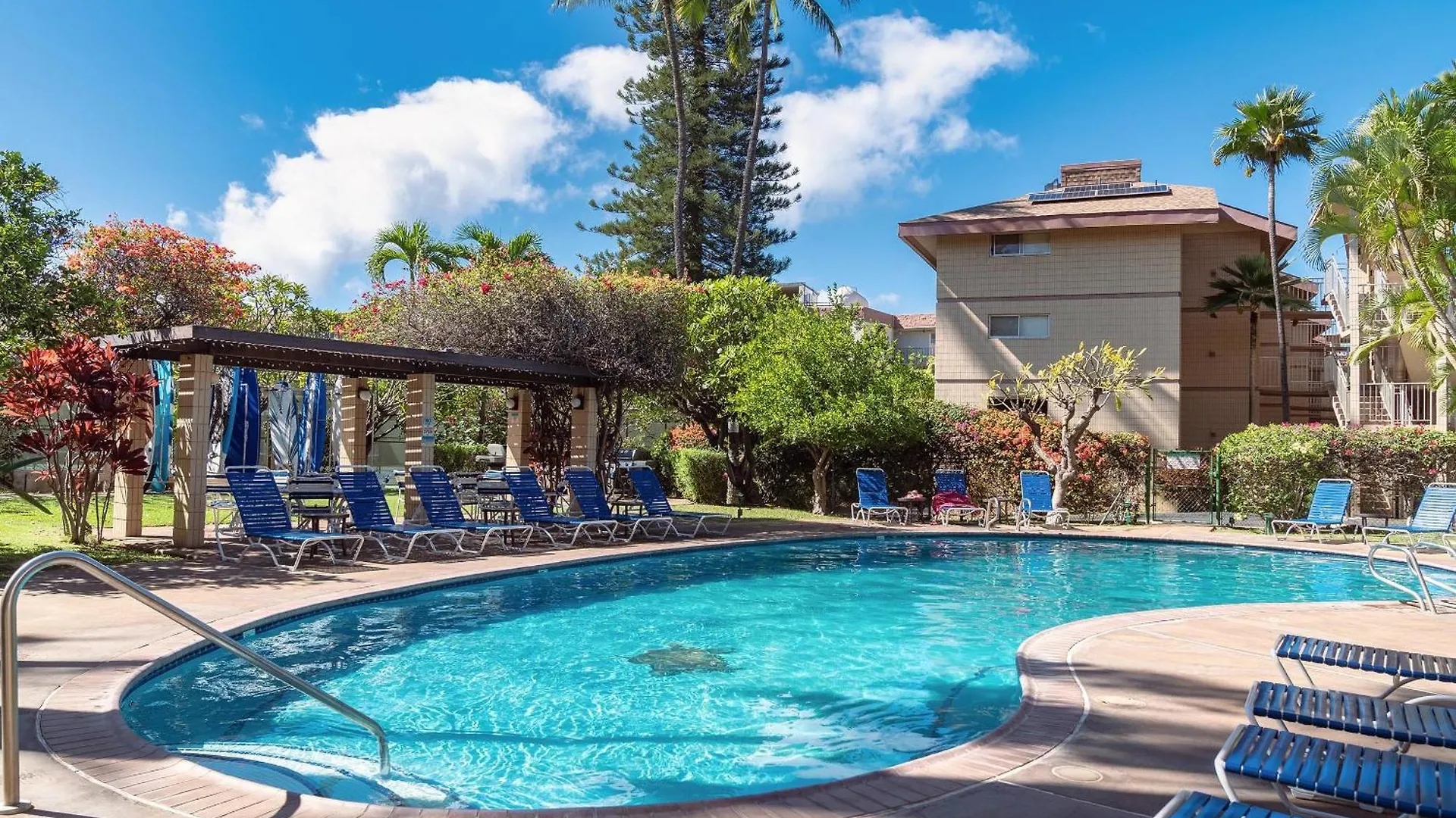 Haleakala Shores A-301 Уэйлея США